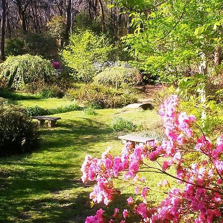 Charming Mountain Escape Katoomba Villa Exterior photo