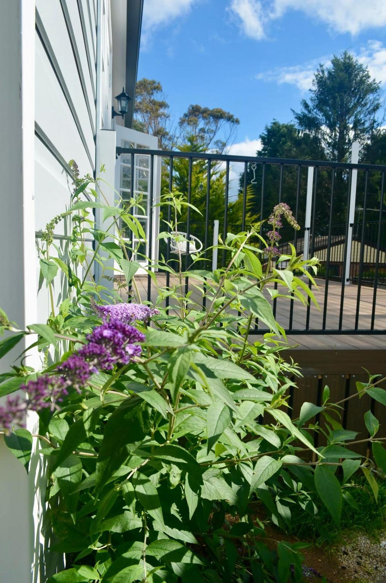 Charming Mountain Escape Katoomba Villa Exterior photo