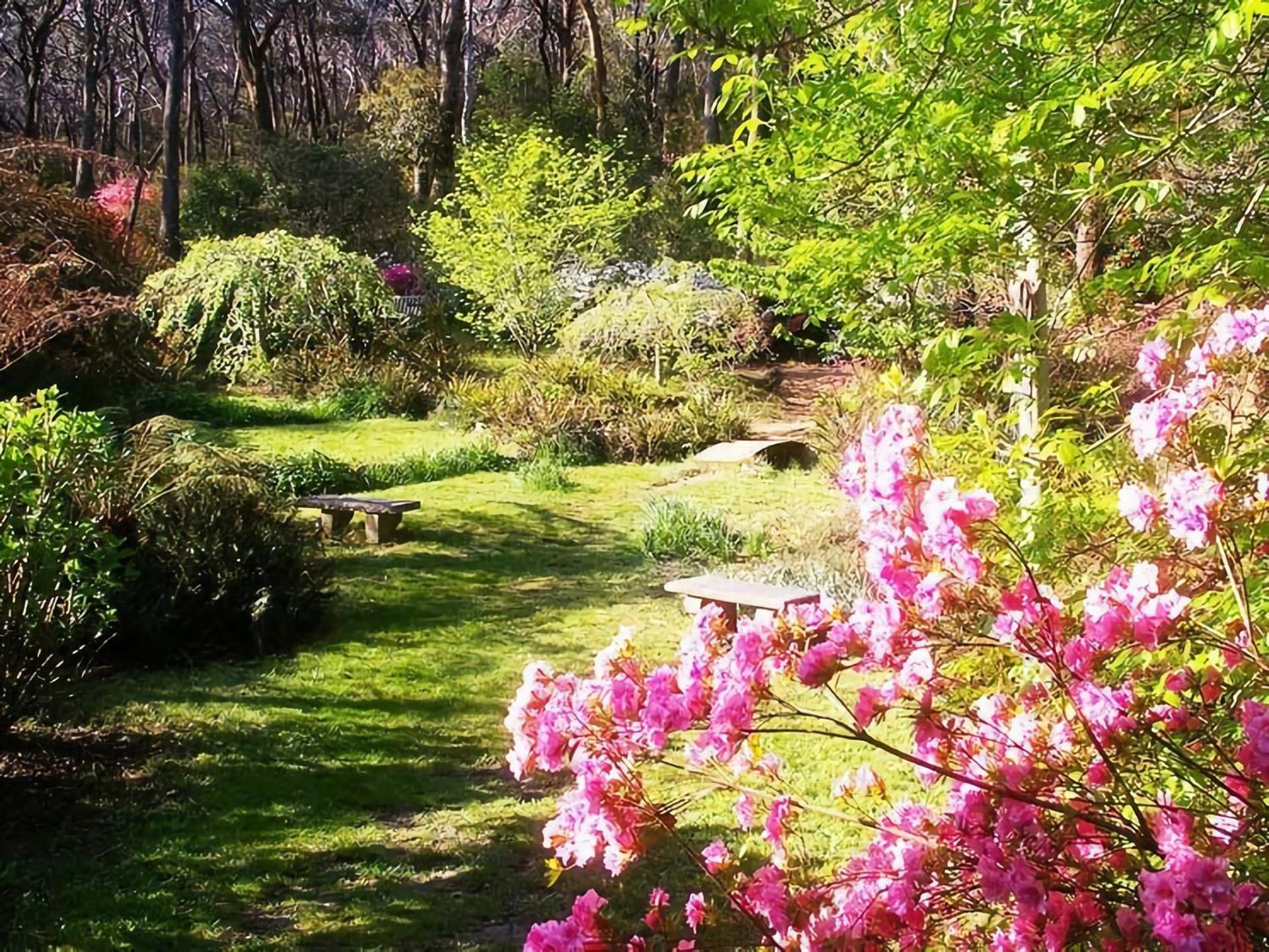 Charming Mountain Escape Katoomba Villa Exterior photo